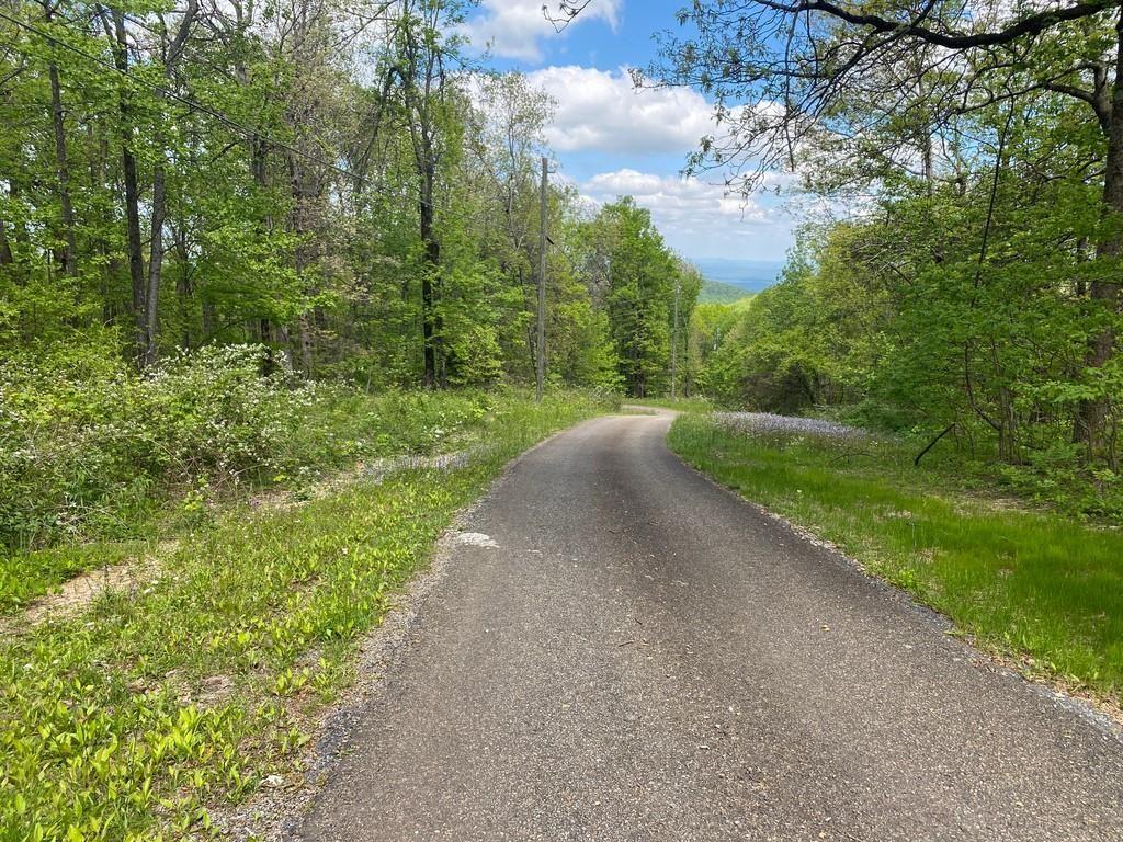 0 Burnt Mountain Cove Road Jasper, GA 30143 - Photo 4 of 10