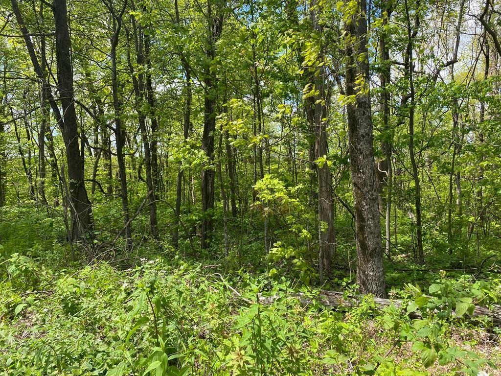 0 Burnt Mountain Cove Road Jasper, GA 30143 - Photo 5 of 10