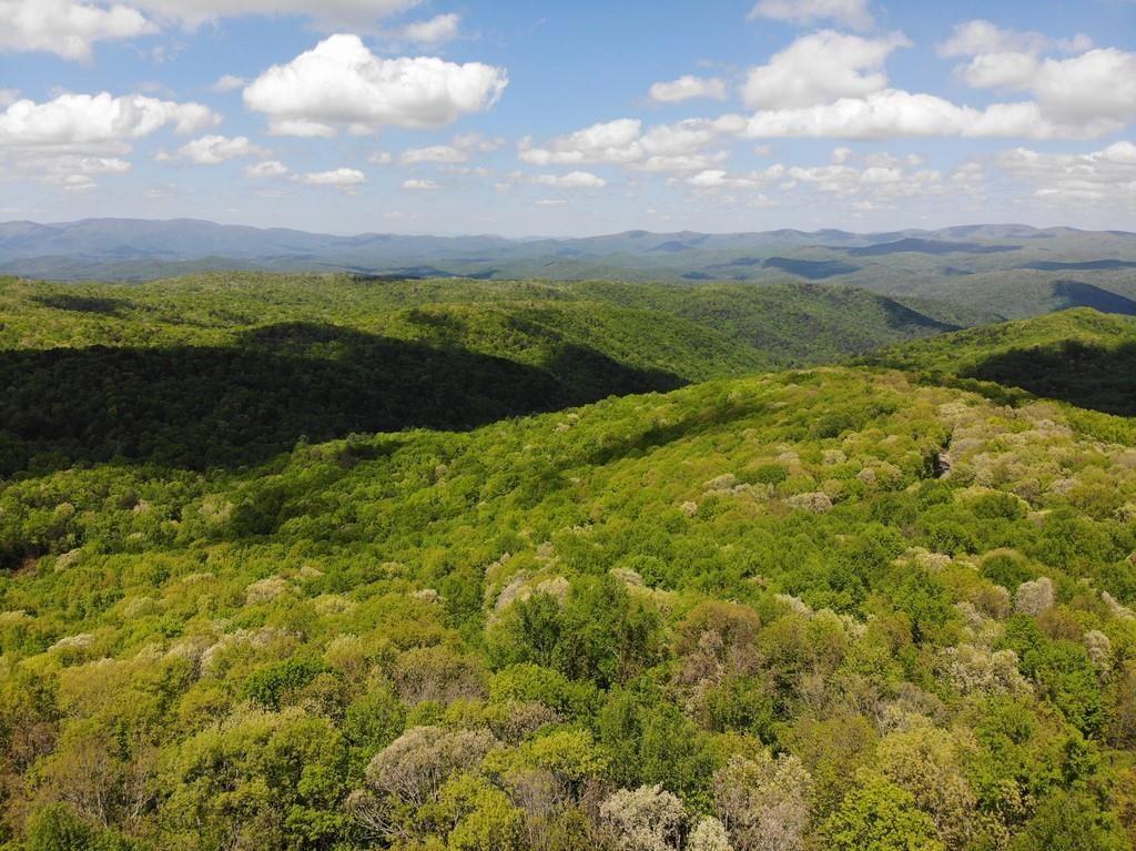 0 Burnt Mountain Cove Road Jasper, GA 30143 - Photo 9 of 10
