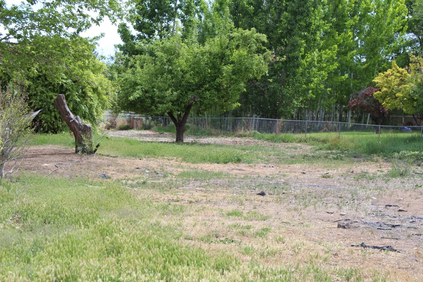 2879 C Road Grand Junction, CO 81503 - Photo 4 of 11 Gallery Image 4