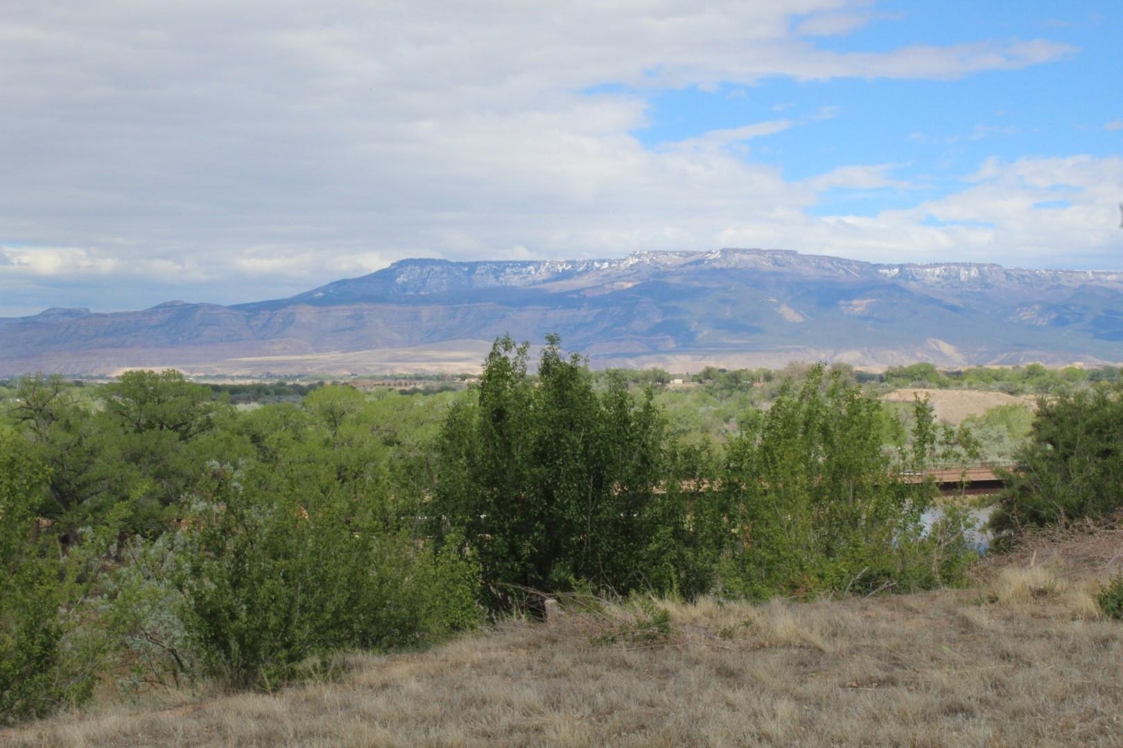 2879 C Road Grand Junction, CO 81503 - Photo 6 of 11 Gallery Image 6