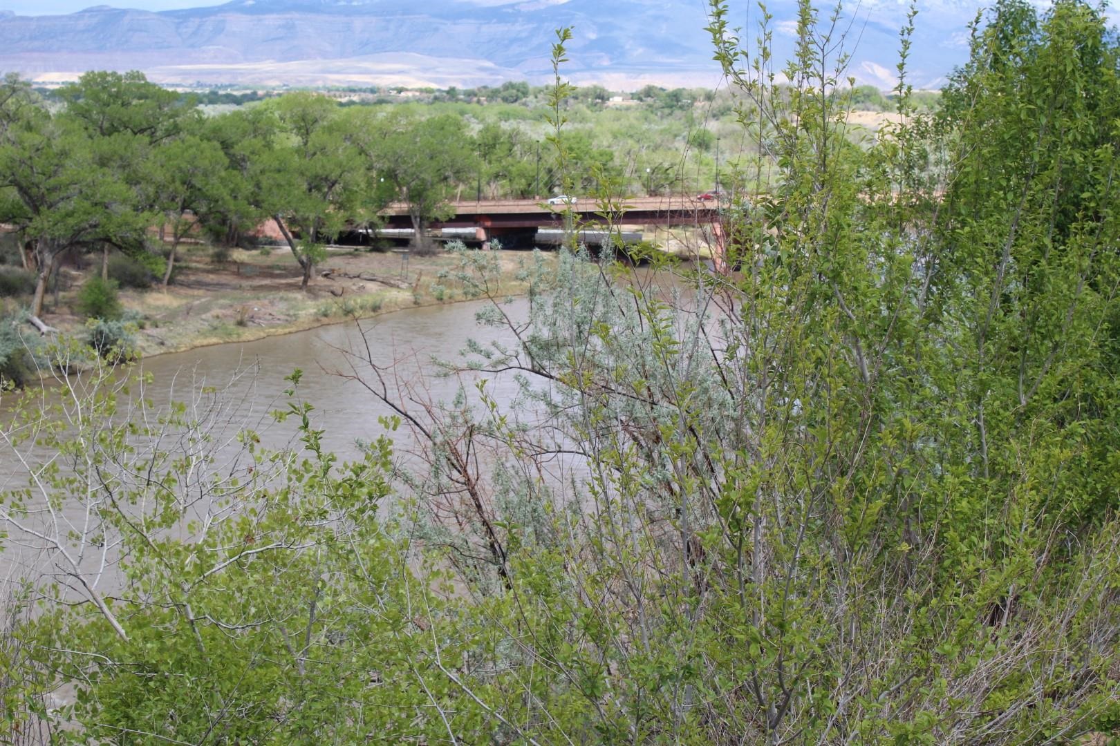 2879 C Road Grand Junction, CO 81503 - Photo 7 of 11 Gallery Image 7