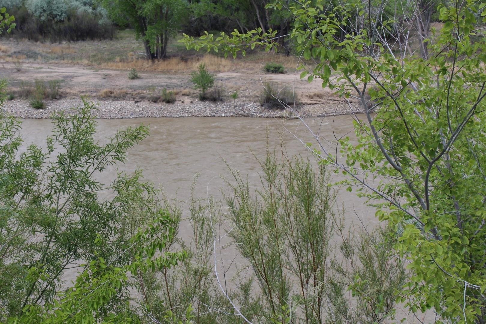 2879 C Road Grand Junction, CO 81503 - Photo 8 of 11 Gallery Image 8