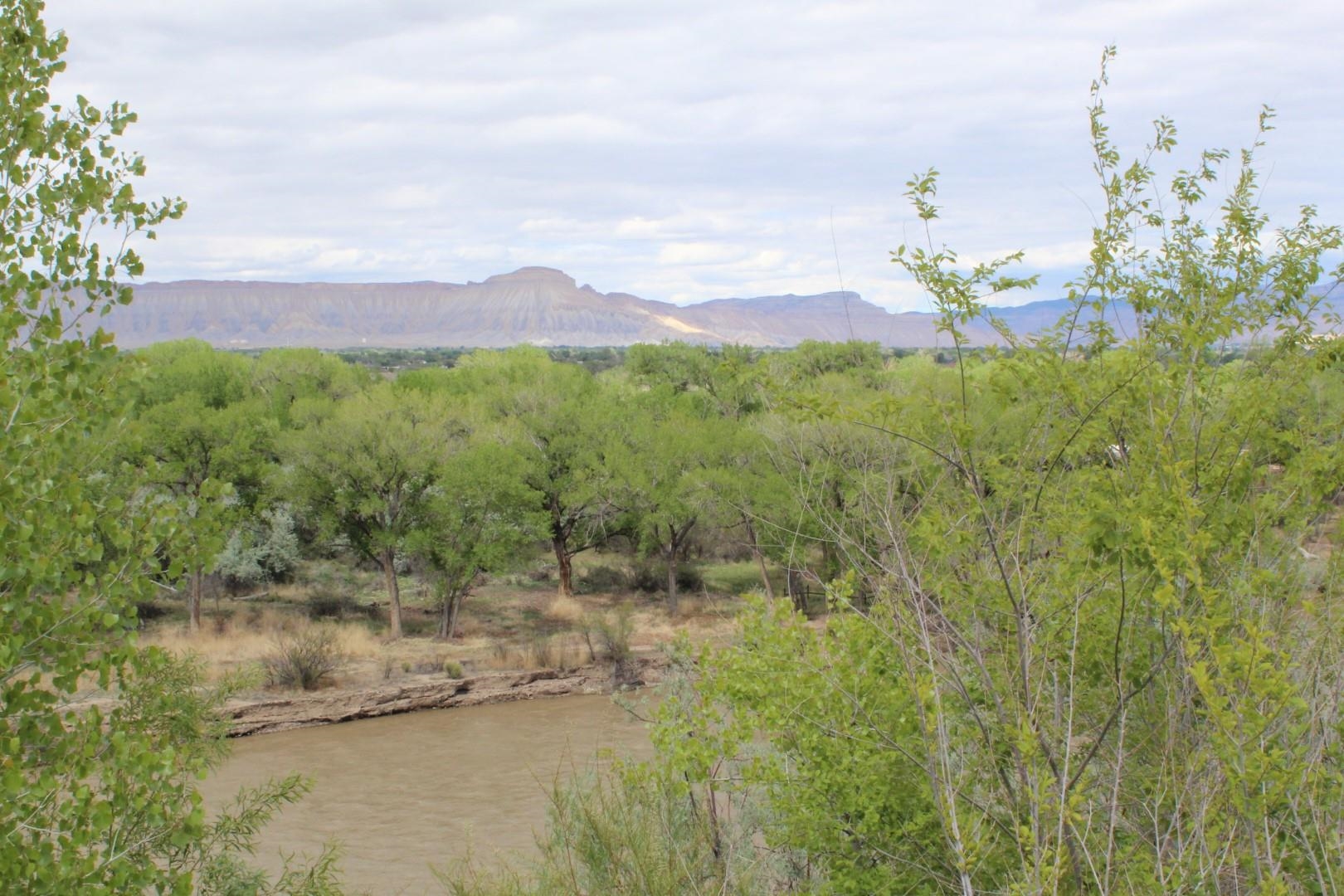 2879 C Road Grand Junction, CO 81503 - Photo 9 of 11 Gallery Image 9