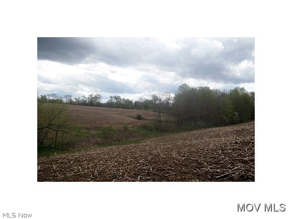 6780 Mercer Road Stockport, OH 43787 - Photo 12 of 12 Fields and Woods