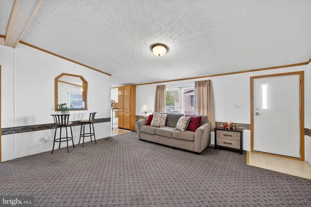 a living room with furniture and a lamp