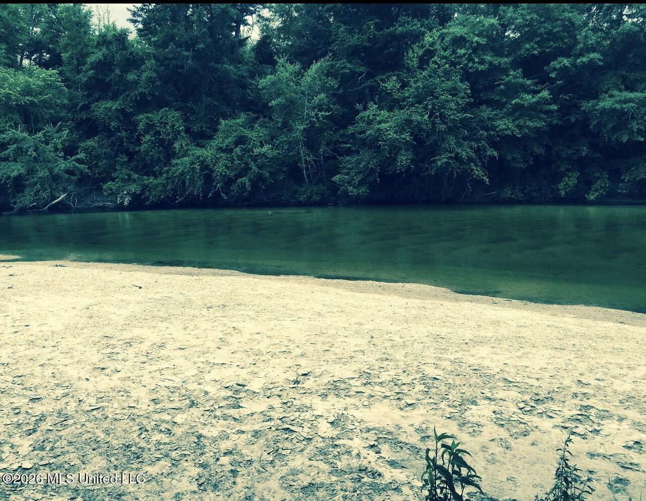 0 City Bridge Road Perkinston, MS 39573 - Photo 2 of 4 creek 2