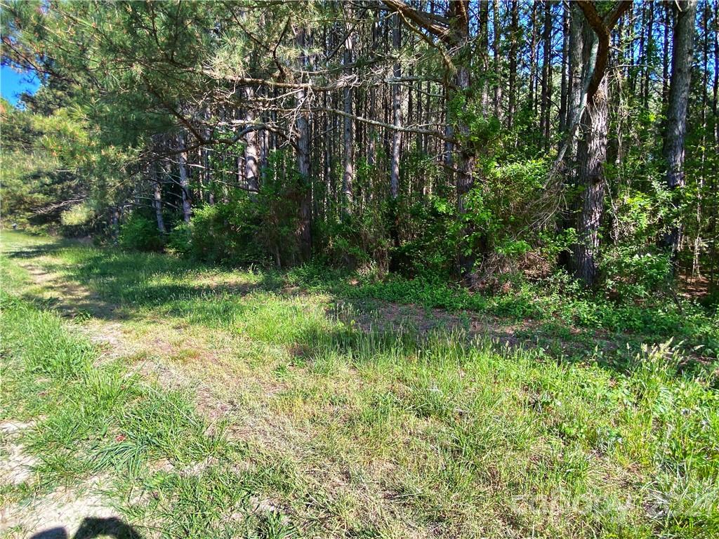 820 Marys Grove Road Cherryville, NC 28021 - Photo 2 of 4 Gallery Image 2