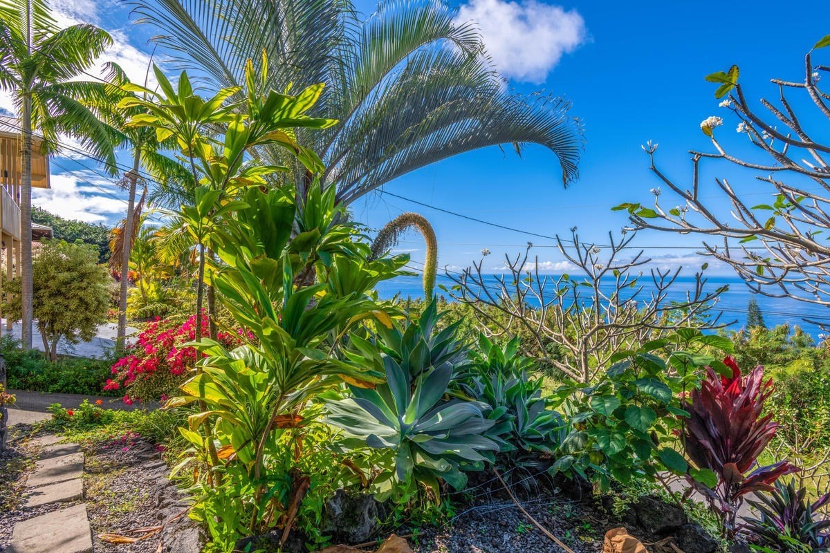 87-3192 Boki Road Captain Cook, HI 96704 - Photo 24 of 30 Gallery Image 24