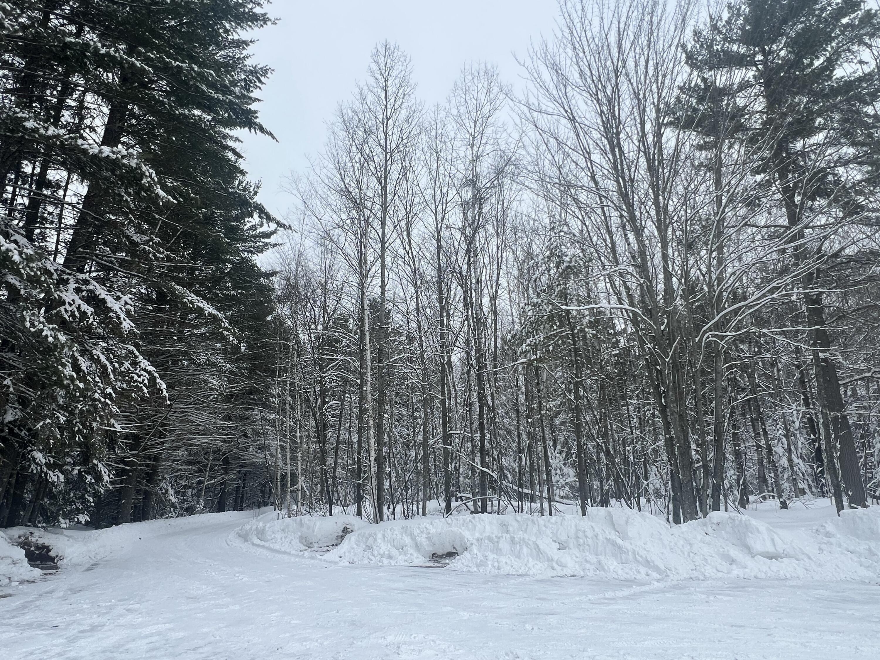 2550 Columbus Road Eagle River, WI 54521 - Photo 132 of 144 IMG_9205