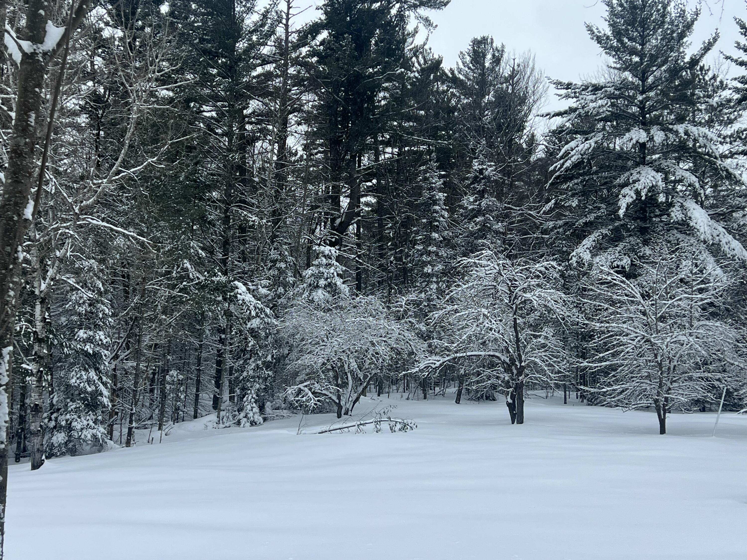 2550 Columbus Road Eagle River, WI 54521 - Photo 134 of 144 IMG_9210