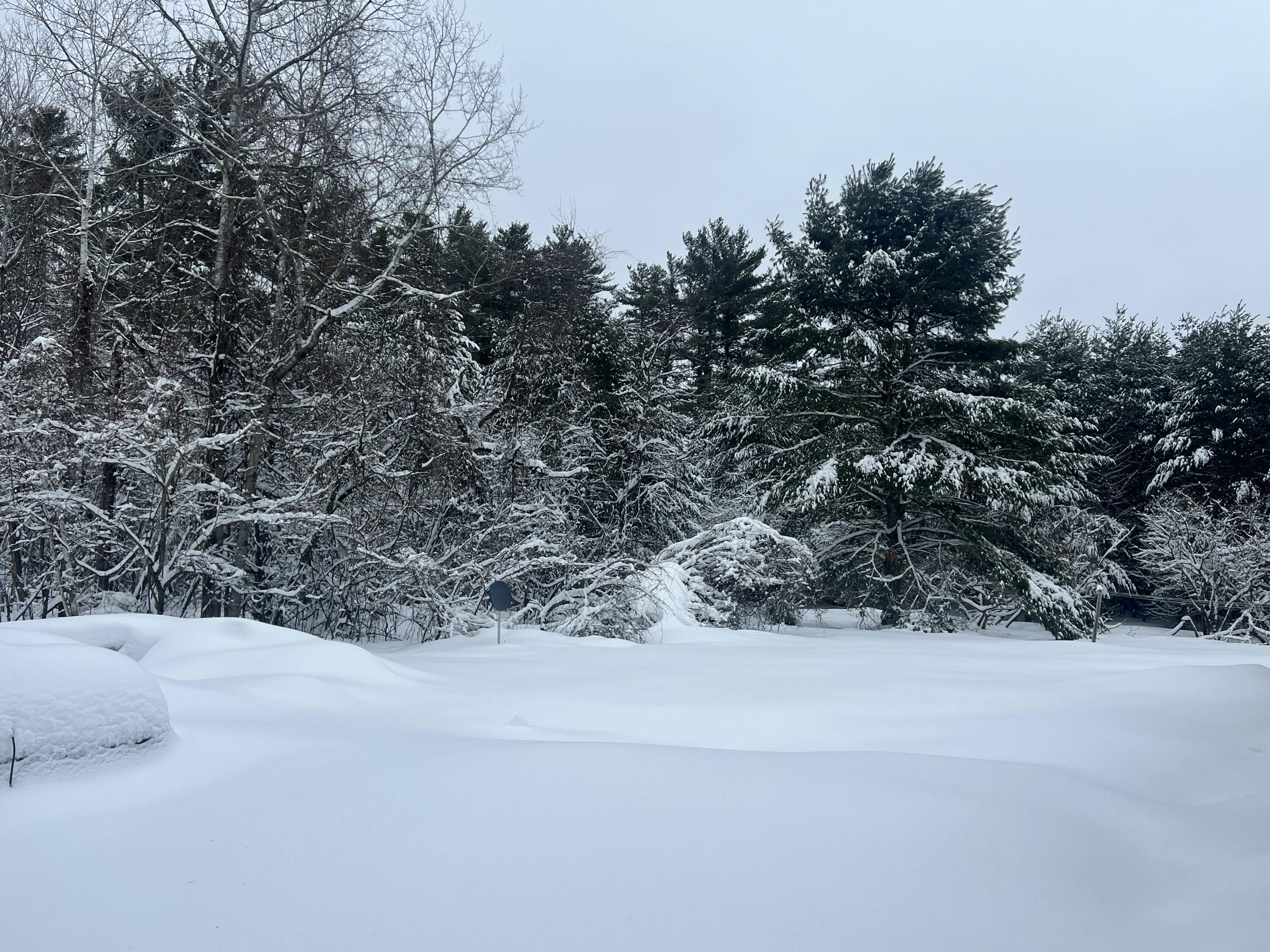 2550 Columbus Road Eagle River, WI 54521 - Photo 136 of 144 IMG_9212