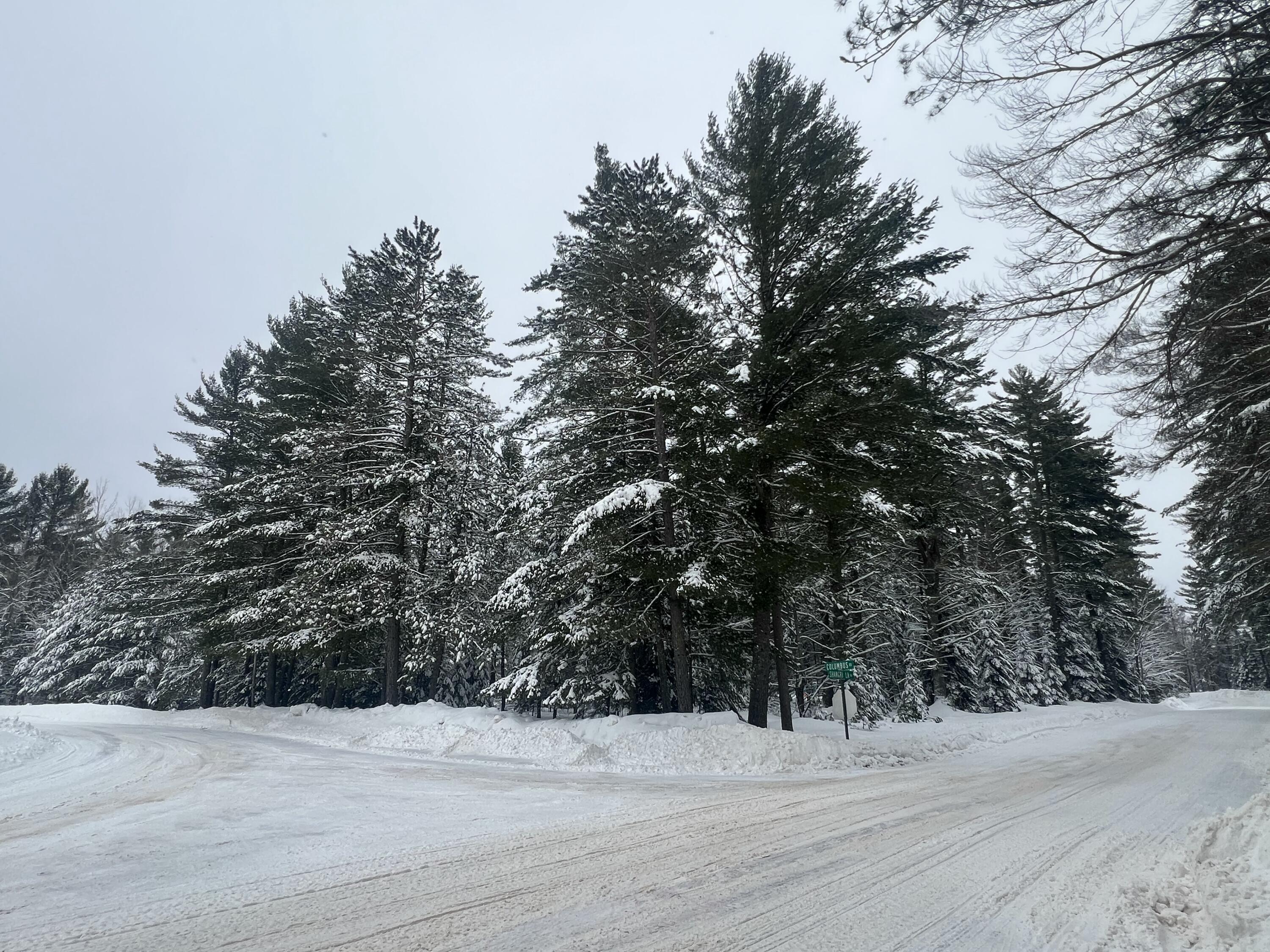 2550 Columbus Road Eagle River, WI 54521 - Photo 140 of 144 IMG_9343