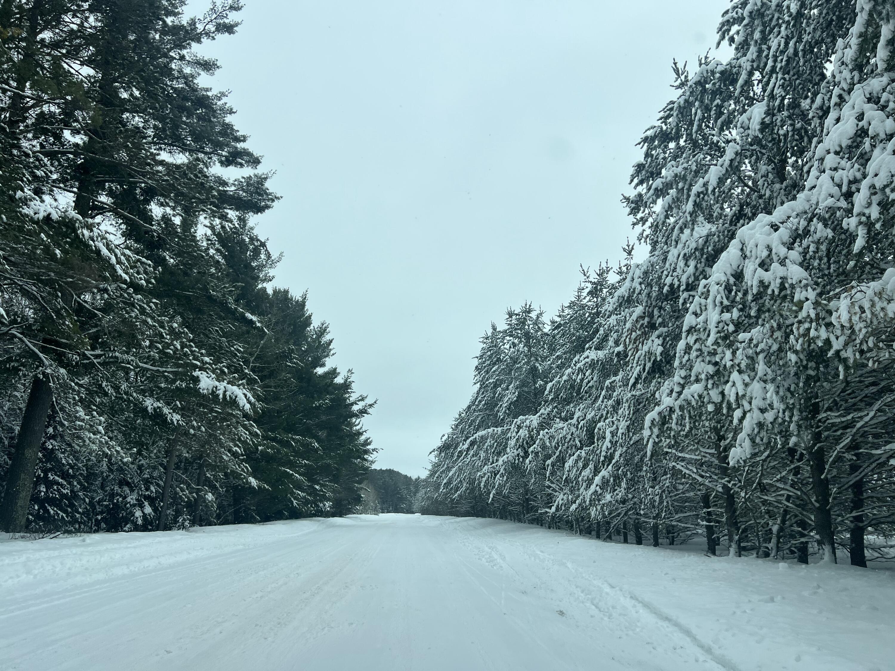 2550 Columbus Road Eagle River, WI 54521 - Photo 142 of 144 IMG_9350