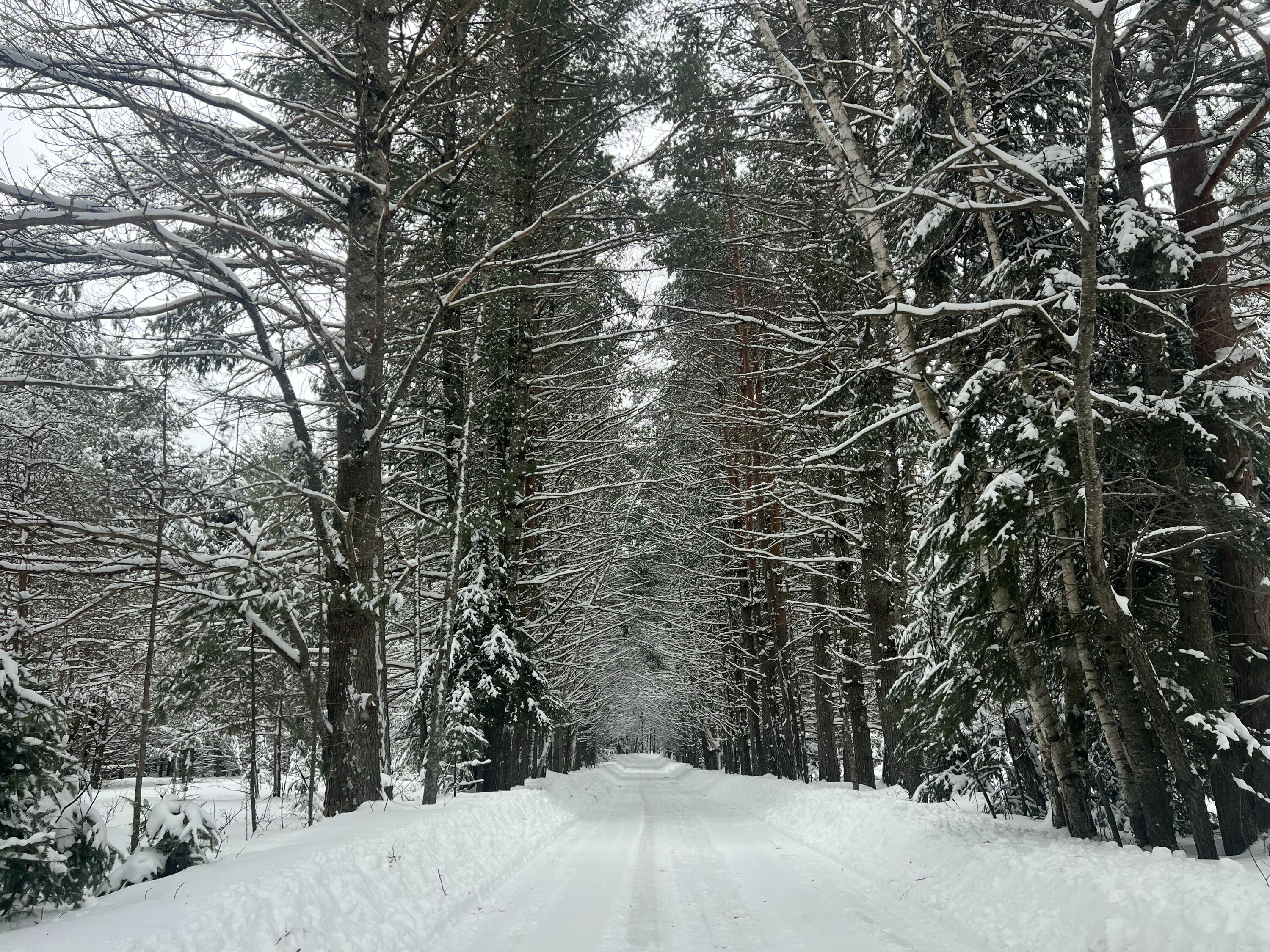 2550 Columbus Road Eagle River, WI 54521 - Photo 2 of 144 IMG_9197