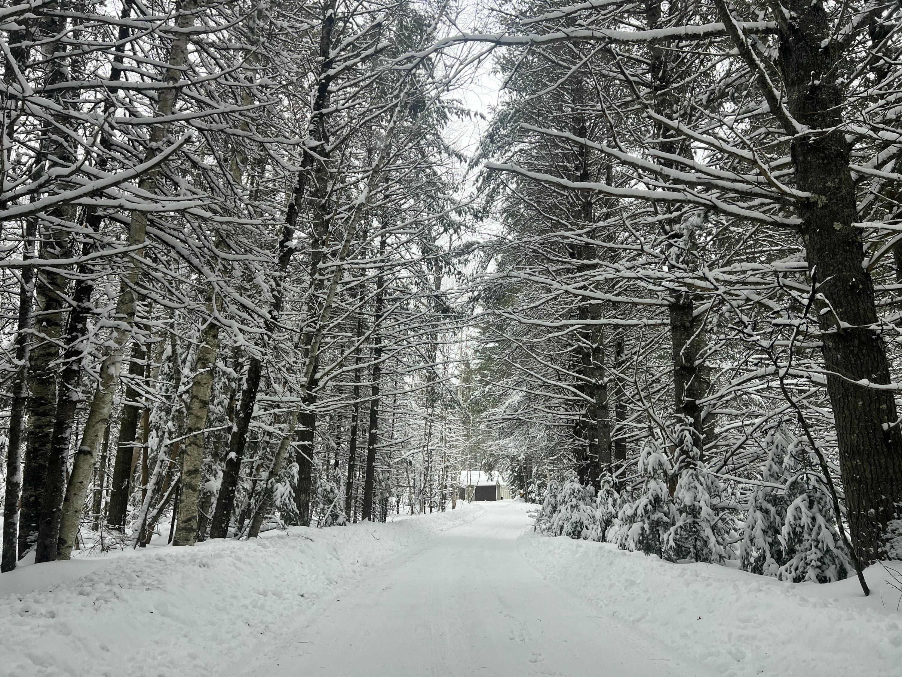 2550 Columbus Road Eagle River, WI 54521 - Photo 3 of 144 IMG_9198