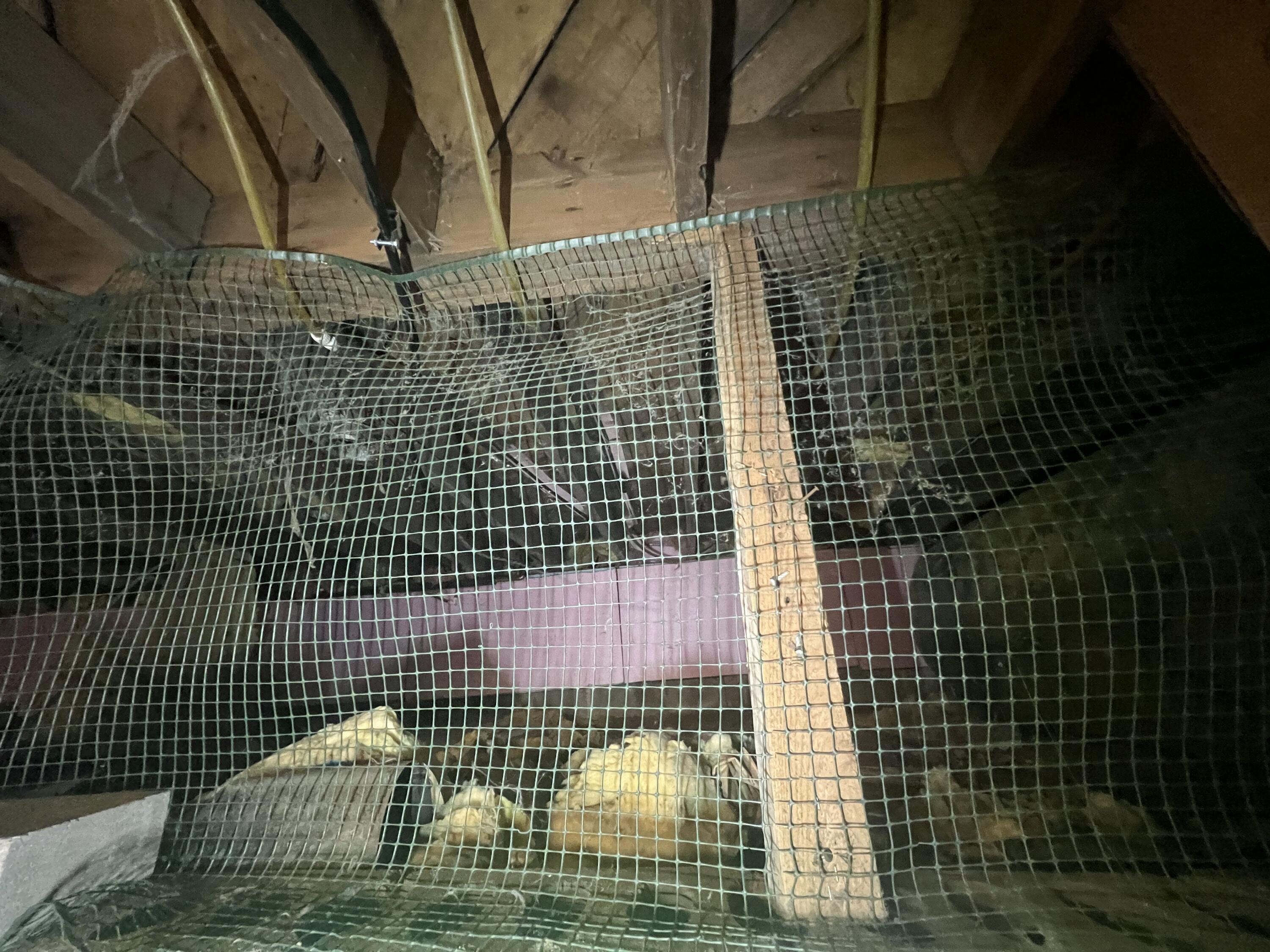 2550 Columbus Road Eagle River, WI 54521 - Photo 88 of 144 IMG_9314