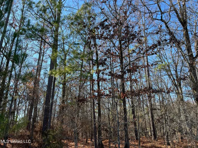 $49,000 | 108 Forest Lake Drive, Byram, MS 39272