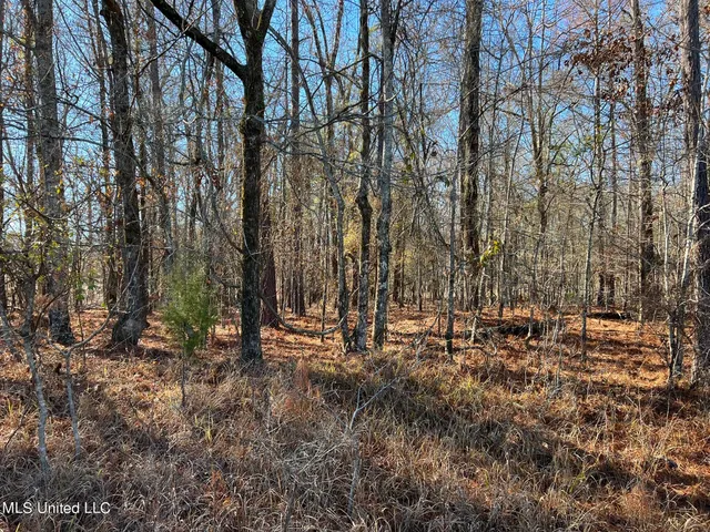 $49,000 | 108 Forest Lake Drive, Byram, MS 39272