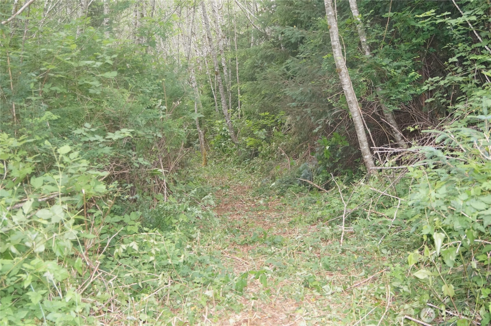 -off Of Panhandle Road Hoquiam, WA 98550 - Photo 7 of 13 Gallery Image 7