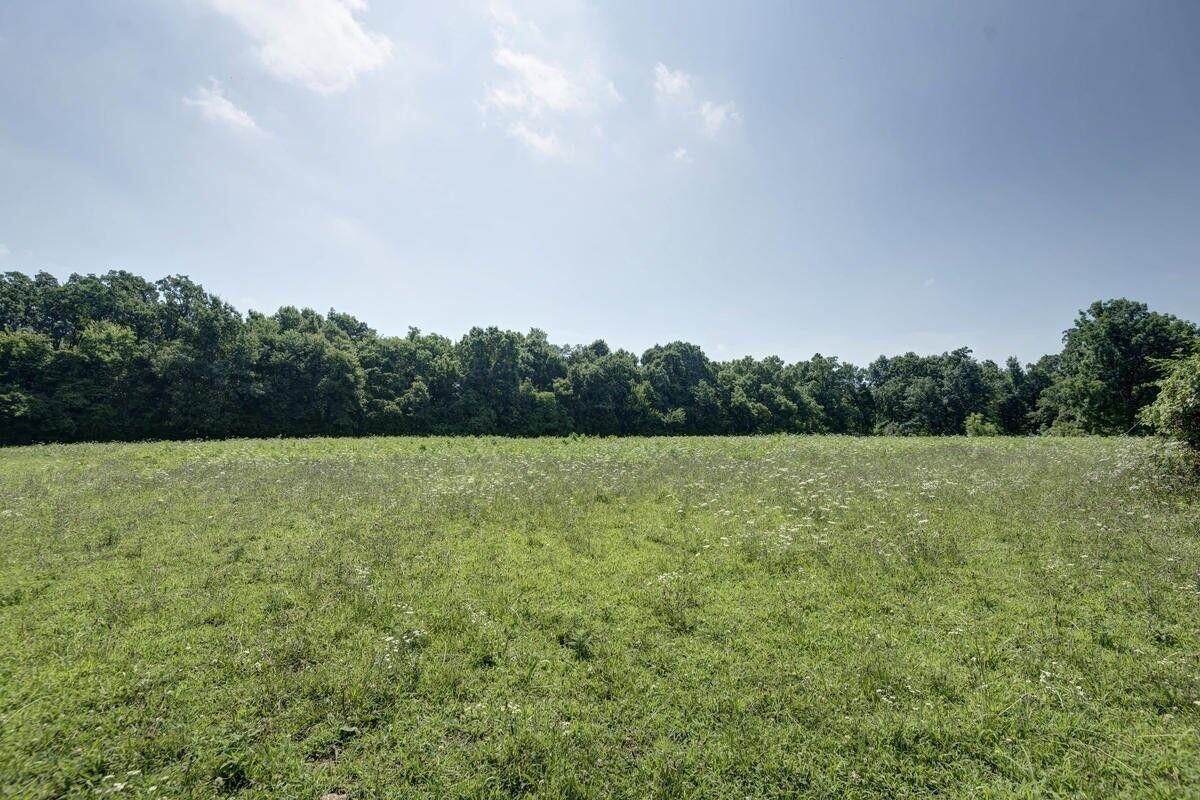 856-874 East Pleasant Valley Road Springfield, MO 65803 - Photo 5 of 6 20250217224109105549000000-o