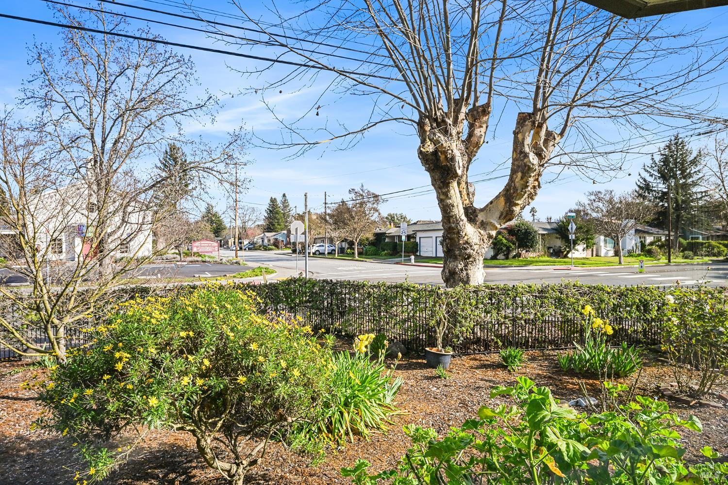 2003 Humboldt Street Santa Rosa, CA 95404 - Photo 16 of 52