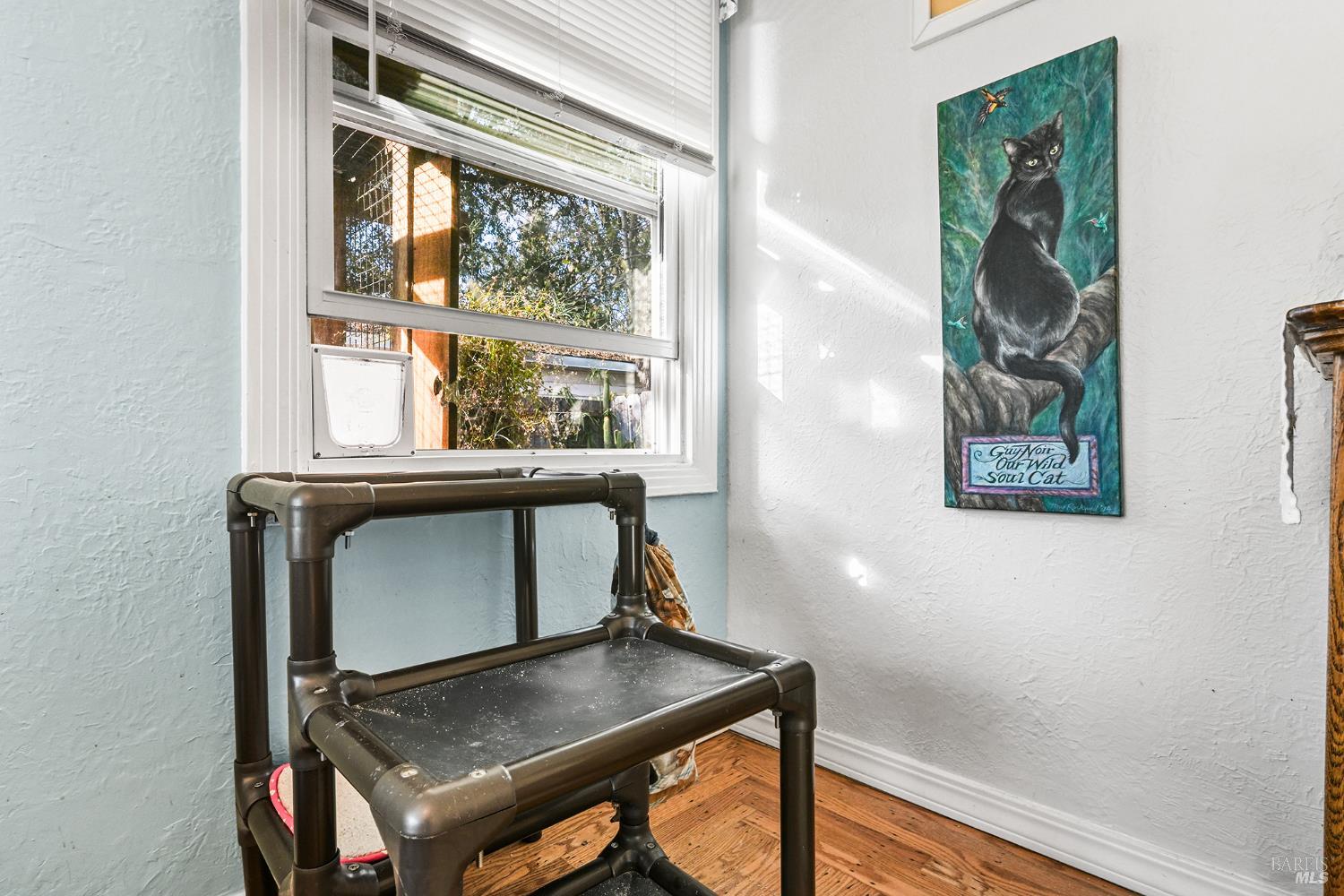 2003 Humboldt Street Santa Rosa, CA 95404 - Photo 29 of 52