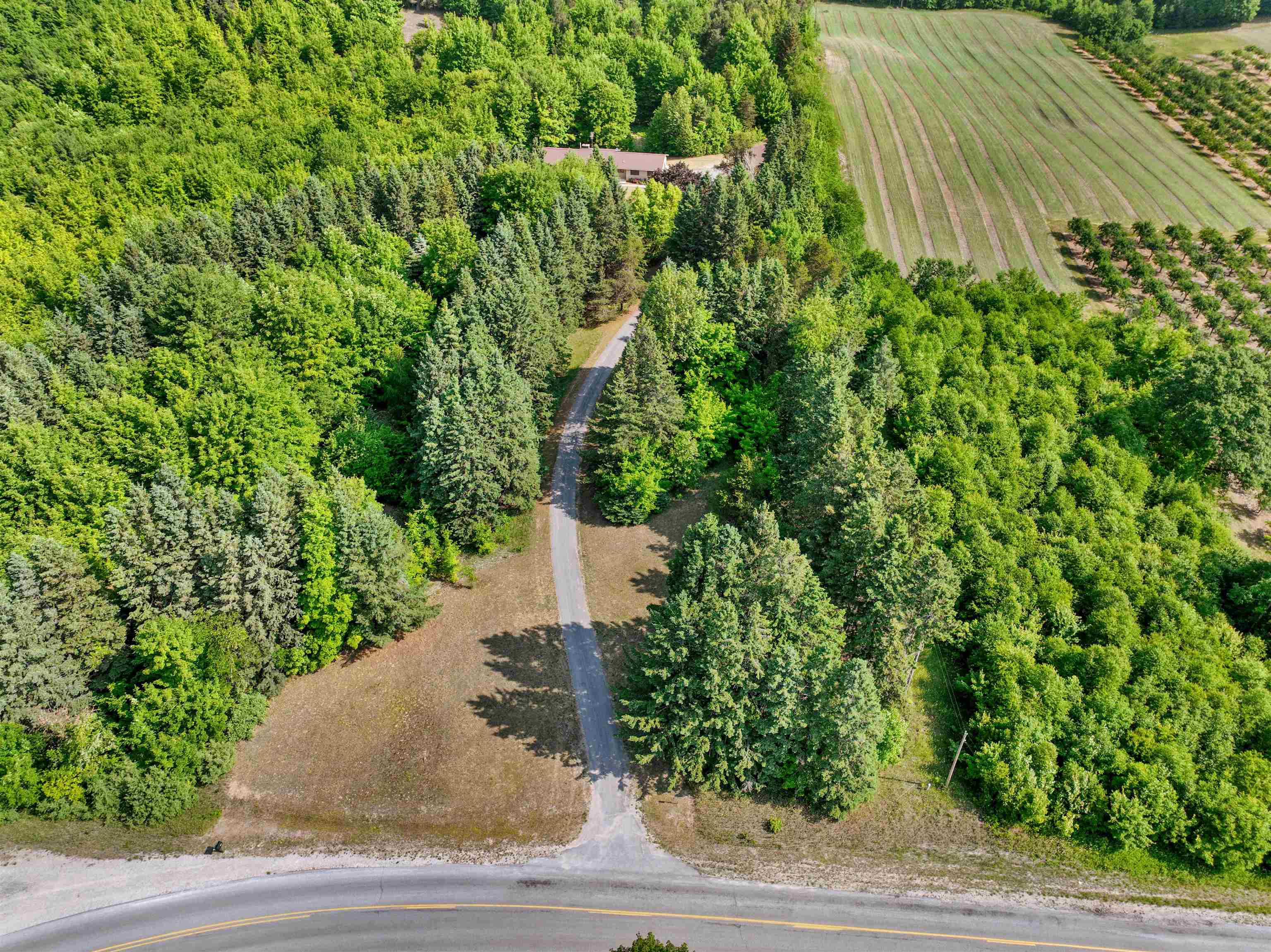 8101 East Pleasant Hill Road Suttons Bay, MI 49682 - Photo 6 of 59