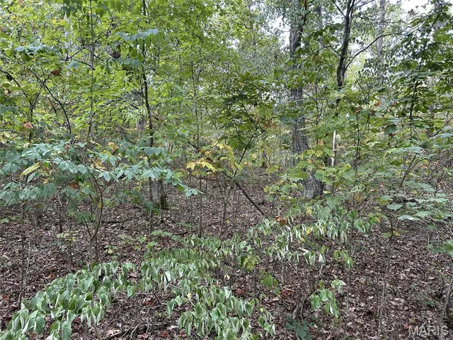 $6,000 | 358 Thunderbird Hill, St. Clair, MO 63077