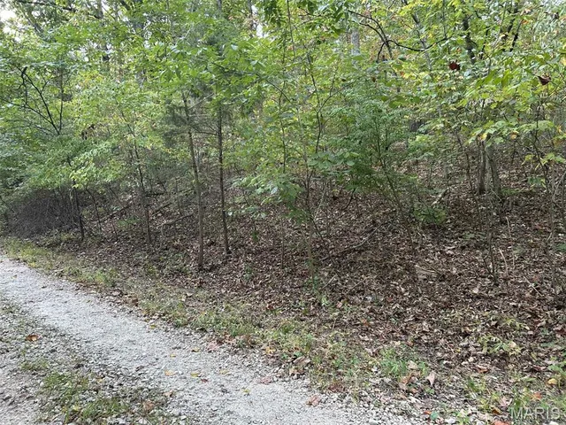 $6,000 | 358 Thunderbird Hill, St. Clair, MO 63077