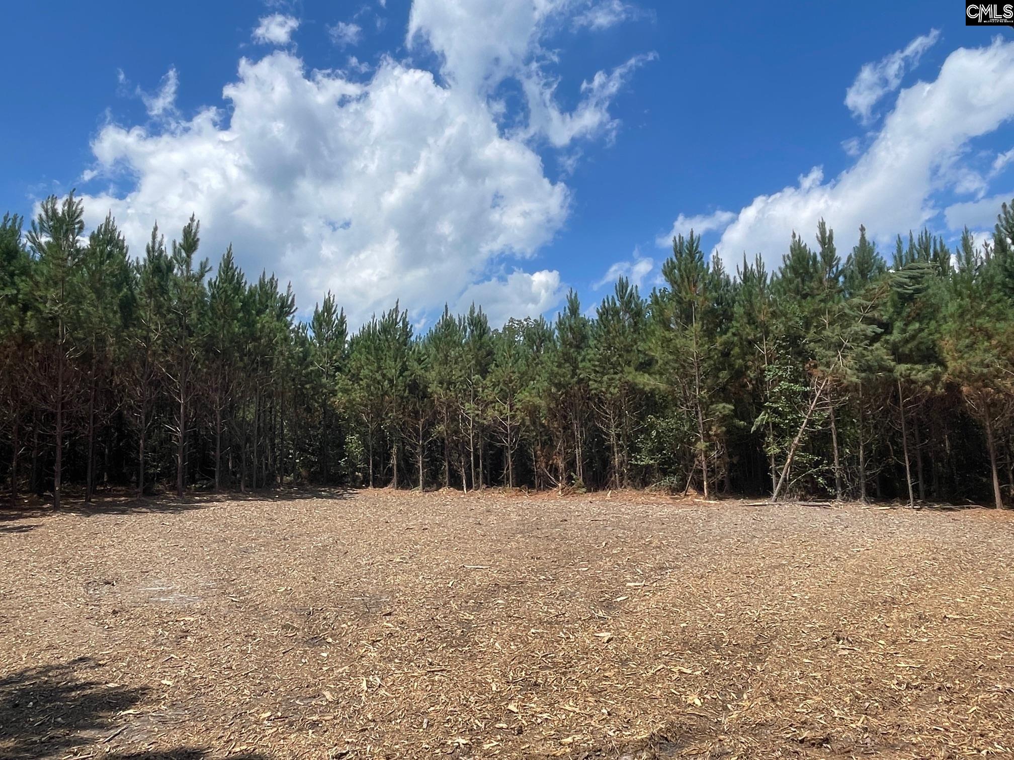 0 Lake Elliott Road Cassatt, SC 29032 - Photo 1 of 8
