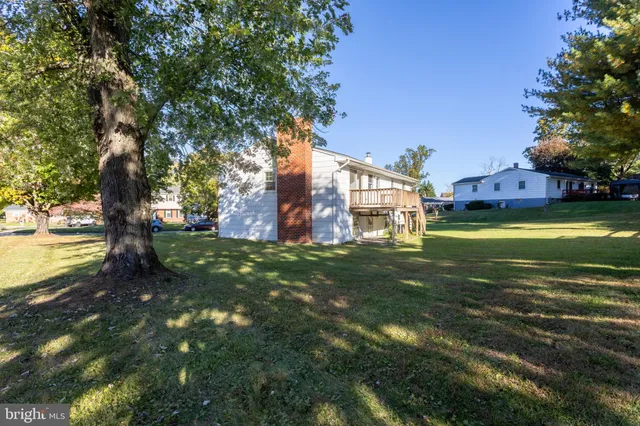 a view of a city with tall trees