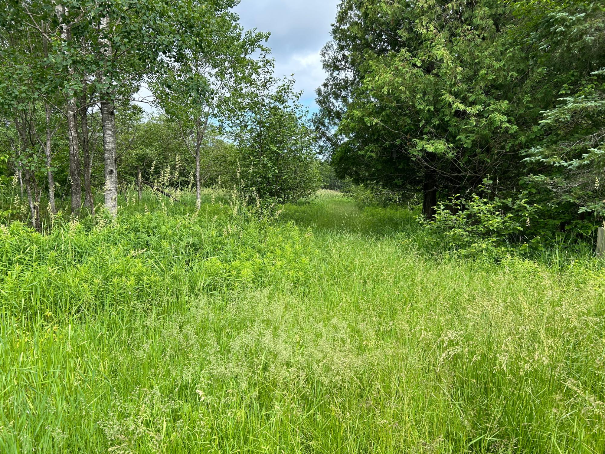 W12242 Highland Road Antigo, WI 54409 - Photo 28 of 29 Gallery Image 28
