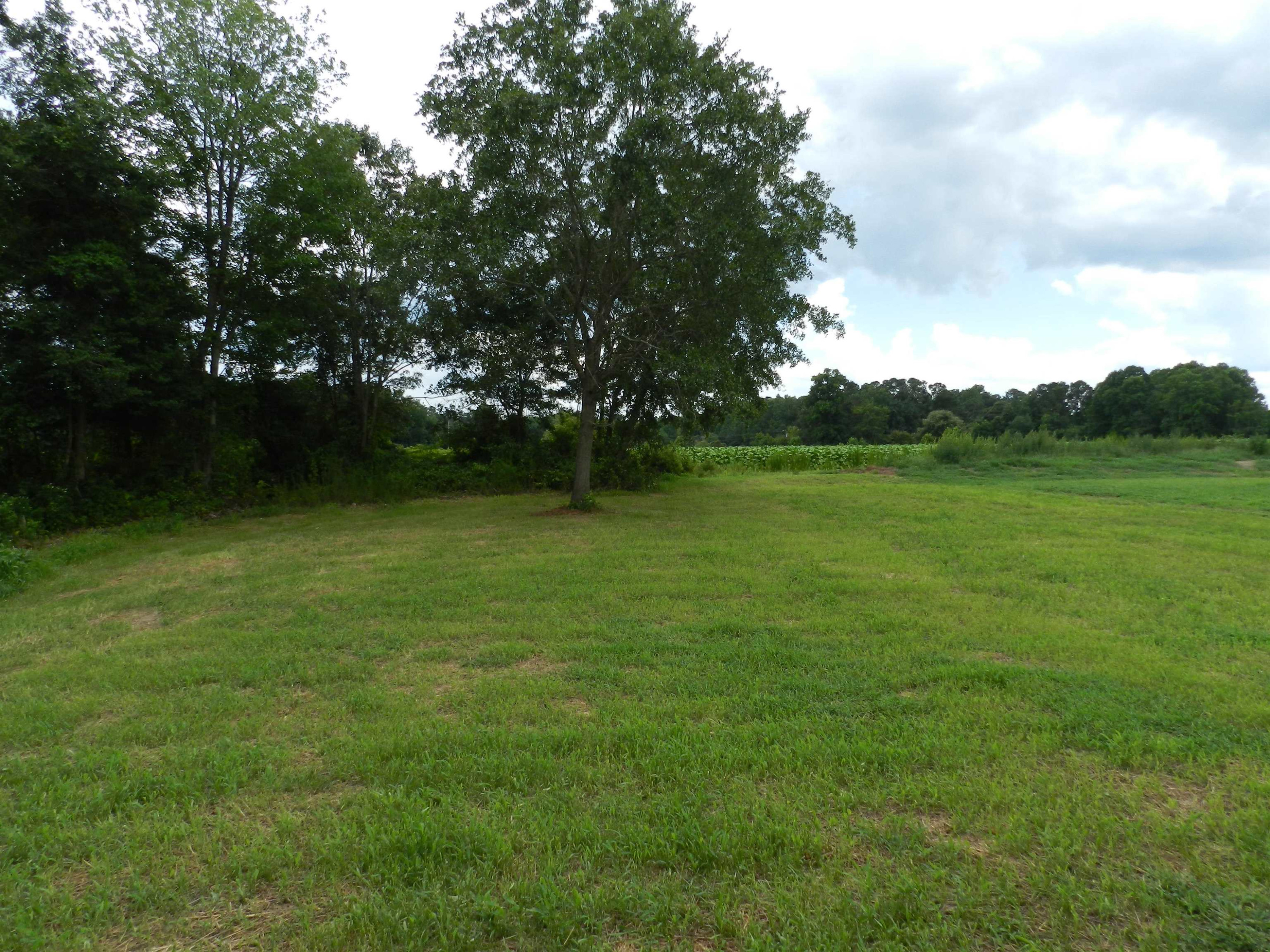 192 Touchdown Way Benson, NC 27504 - Photo 12 of 12 Photo 12