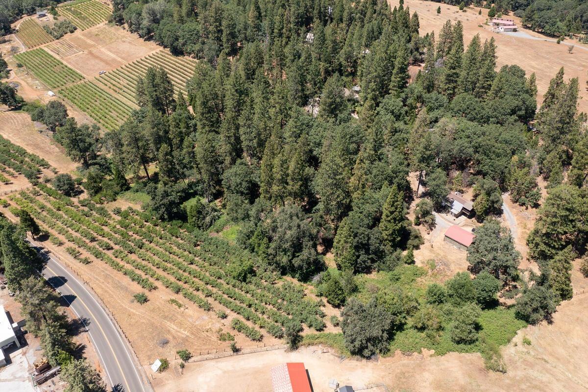 2360 Union Ridge Road Placerville, CA 95667 - Photo 2 of 48
