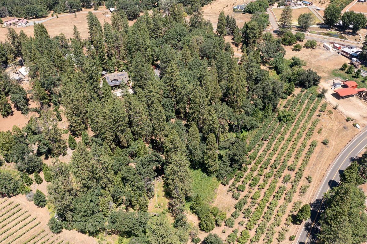 2360 Union Ridge Road Placerville, CA 95667 - Photo 48 of 48