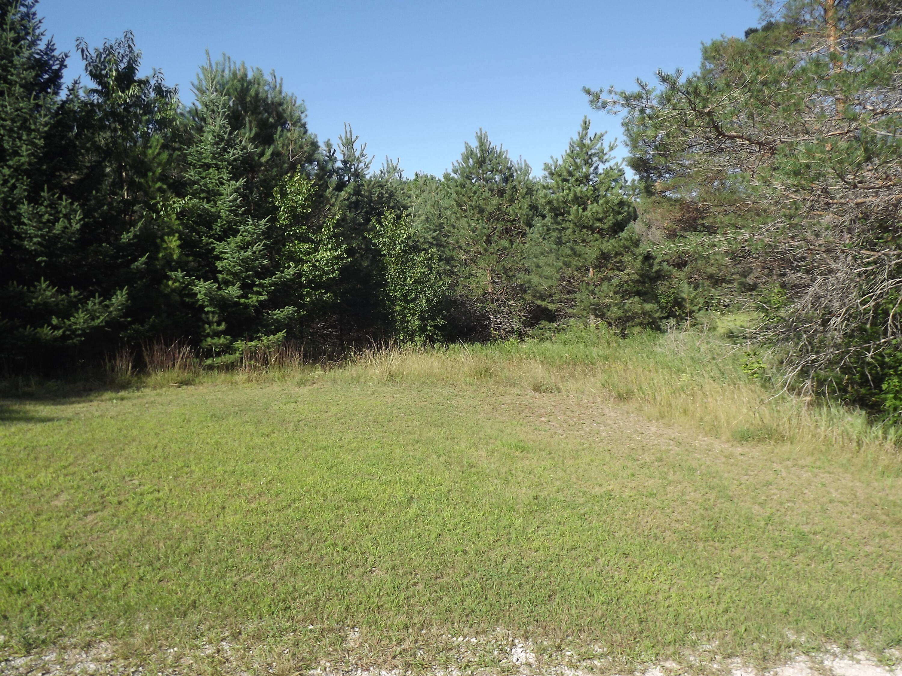 12250 Afton Road Wolverine, MI 49799 - Photo 64 of 69 Gallery Image 64