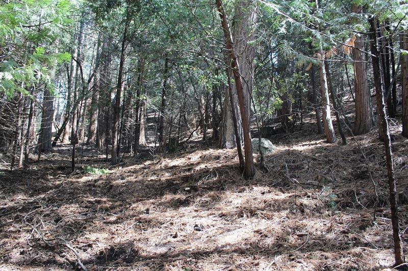 1482 Coy Flat Road Springville, CA 93265 - Photo 1 of 3 Primary Photo