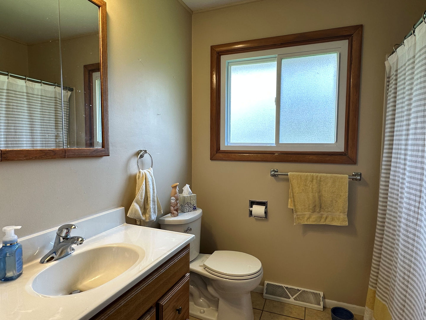 1401 Crest Lane Rochelle, IL 61068 - Photo 9 of 10 a bathroom with a sink toilet and mirror
