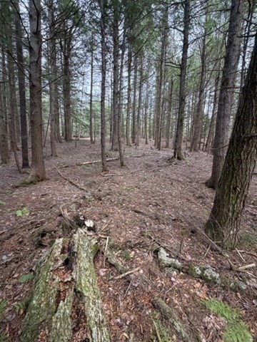 0 Number 9 Road Charlemont, MA 01339 - Photo 11 of 14 Gallery Image 11