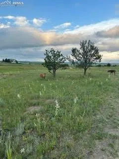 $1,625,000 | 5449 Haes Hvn View, Colorado Springs, CO 80908