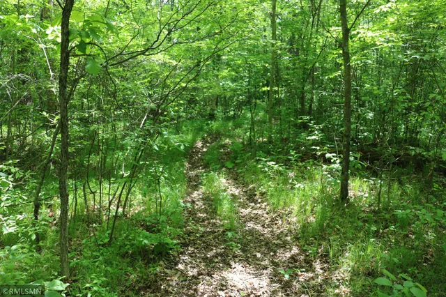 $575,000 | 14638 Highway 70, Pine City, MN 55063