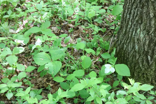 $575,000 | 14638 Highway 70, Pine City, MN 55063