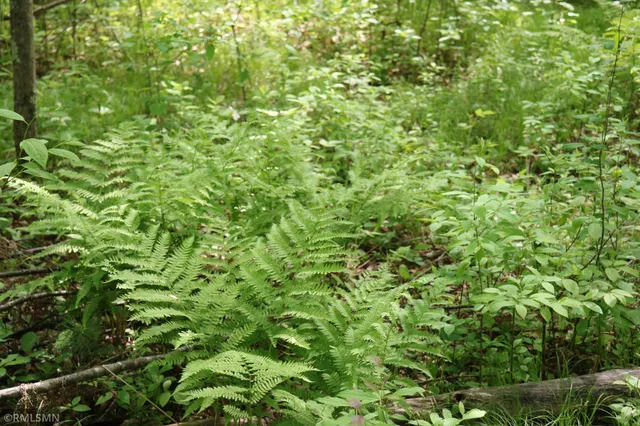 $575,000 | 14638 Highway 70, Pine City, MN 55063