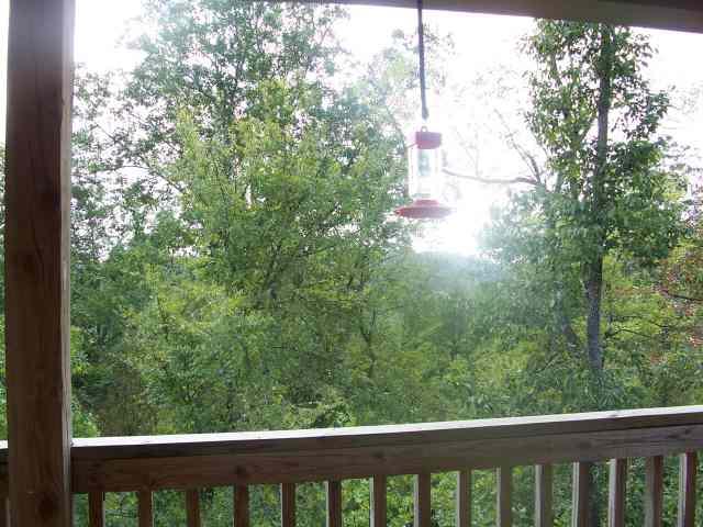 4643 Kings Mill Road Oakman, AL 35579 - Photo 9 of 9 Gallery Image 9