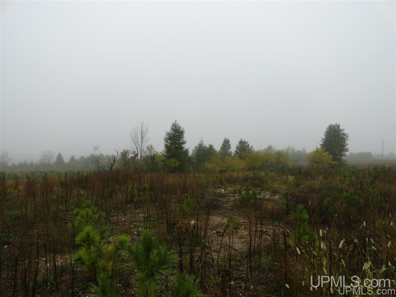 40-acres Davidson Road Manistique, MI 49854 - Photo 21 of 30 Gallery Image 21