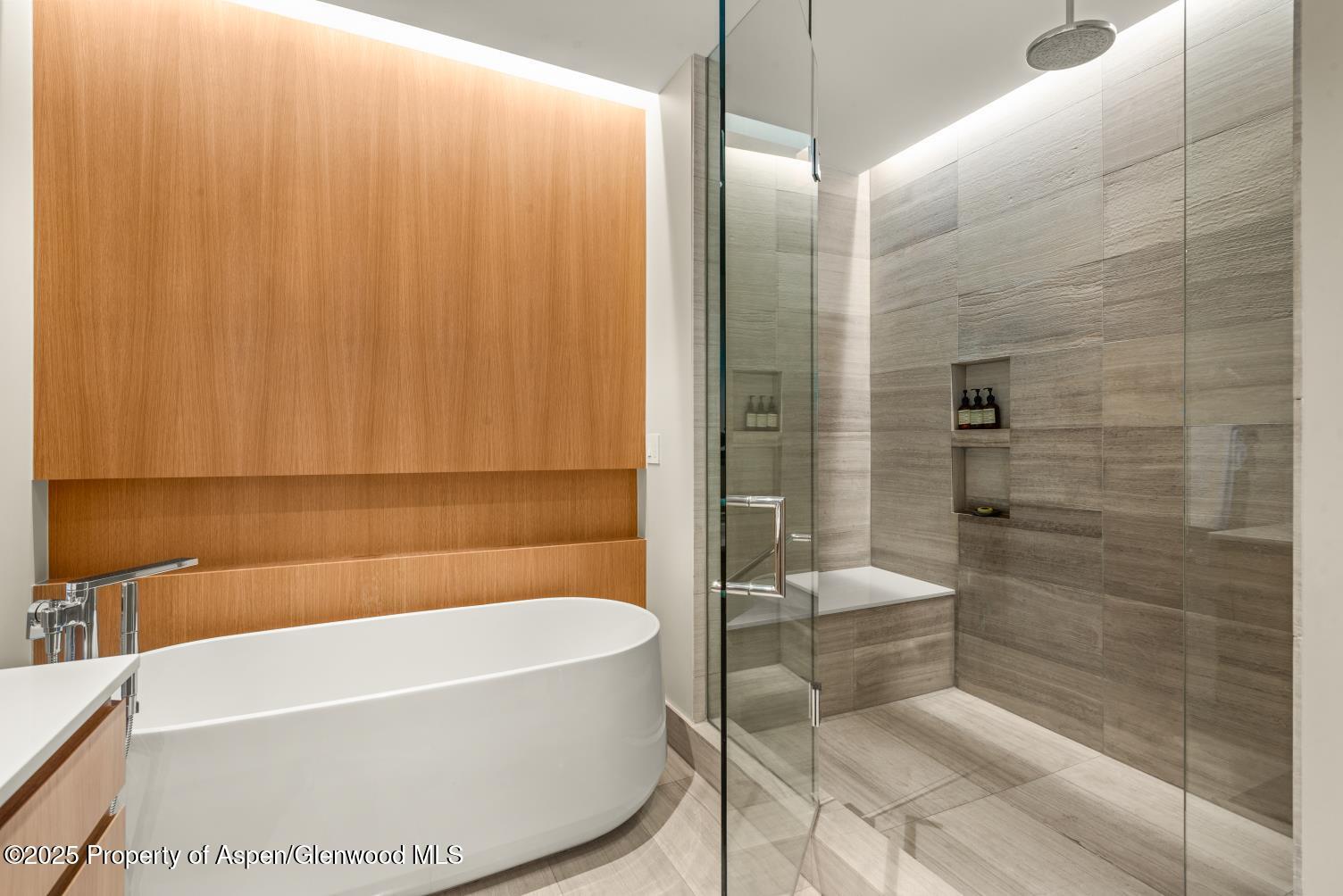 77 Wood Road, Unit 603 Snowmass Village, CO 81615 - Photo 22 of 45 IMG_1624