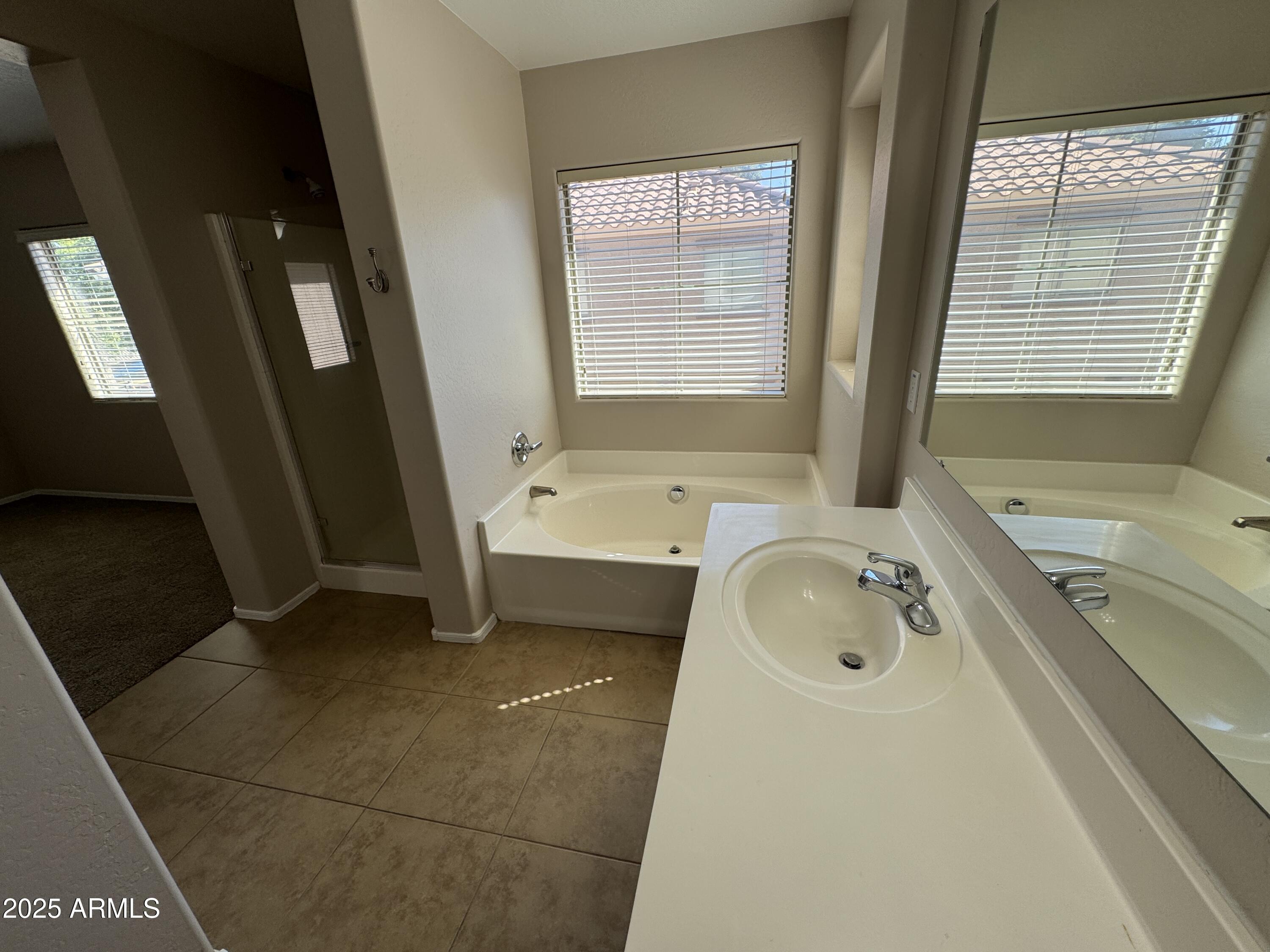 3822 East Santa Fe Lane Gilbert, AZ 85297 - Photo 17 of 24 a bathroom with a tub a sink and a large window