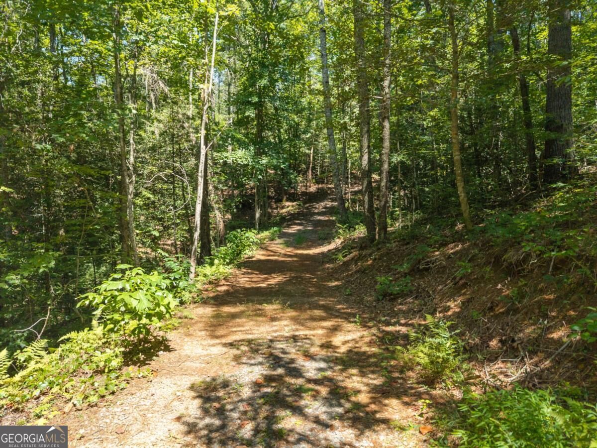 2 A Stevens Ridge Road Ellijay, GA 30540 - Photo 1 of 34 Gallery Image 1
