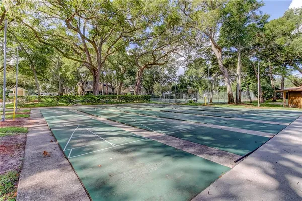 a view of a basket ball ground